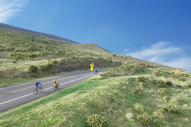 UPCOUNTRY Wednesday Haleakala Downhill Bike Ride w/Maui Sunriders - From Paia to Kula: The Van Tour and Scenic Drive
