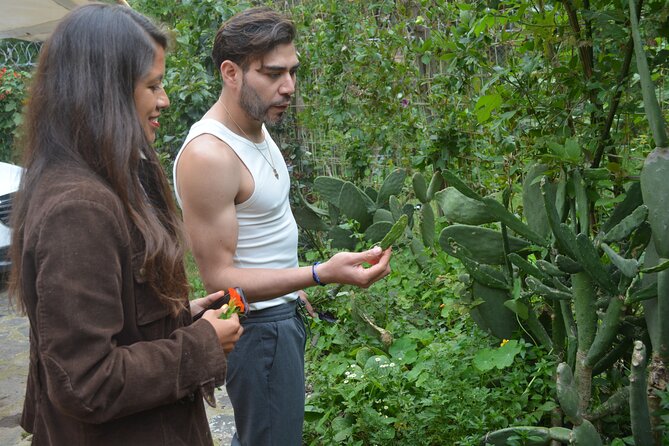 Urban Orchard in Desierto de los Leones in Mexico City - Key Points