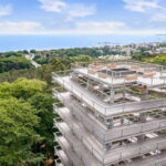 Usedom: Treetop Walk Adventure on Usedom Island - Reach the Observation Tower and Take in Stunning Views
