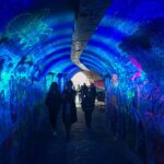 Utrecht: Guided Highlights Walking Tour - Highlights of the Dom Tower and the Vredenburg Square