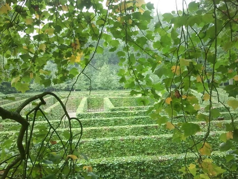 Utrecht: Park Entry Ticket De Haar Castle - Exploring the Vast Landscaped Gardens
