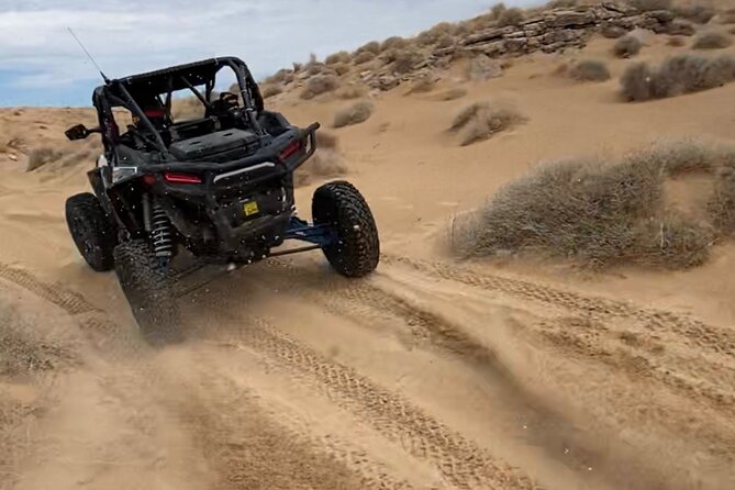 UTV Nellis Bad Land Quest Half-Day Tour - The Vehicles: UTVs for Every Level of Comfort