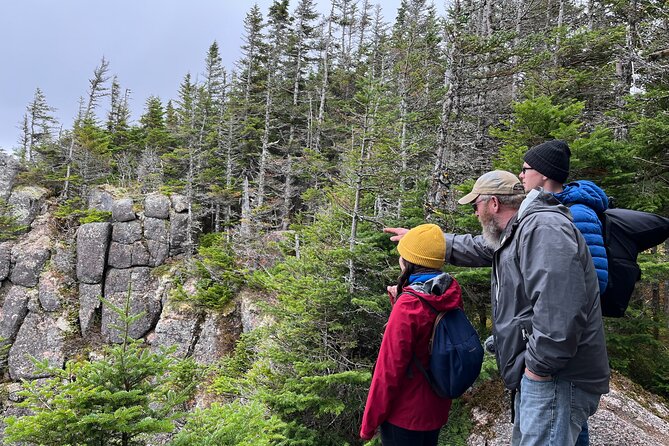 UTV/Side-by-Side Trail Tour to Cape Clear Look-off - Starting Point at Hunters Mountain on Cabot Trail
