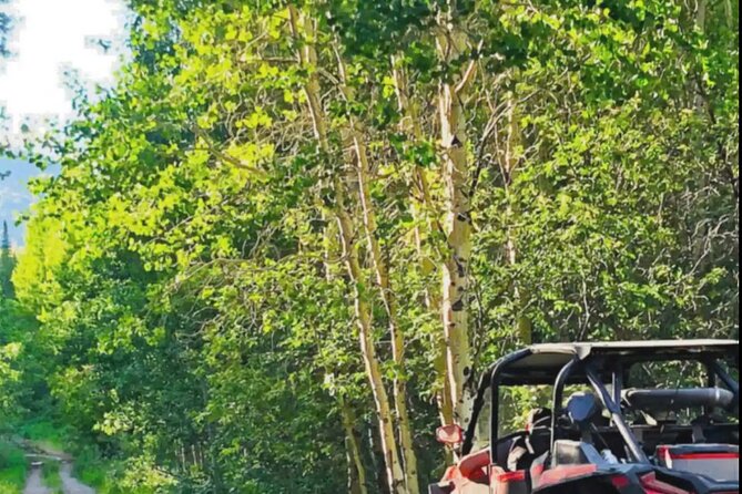 UTV Tour of Big Springs, Flats, and Sawtell Peak - Exploring Big Springs and Its Trout Population