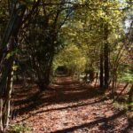 Val Senagra - The Enchanted Valley - Discovering the Historic Brick and Needle Factories