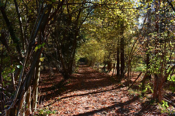 Val Senagra - The Enchanted Valley - Discovering the Historic Brick and Needle Factories