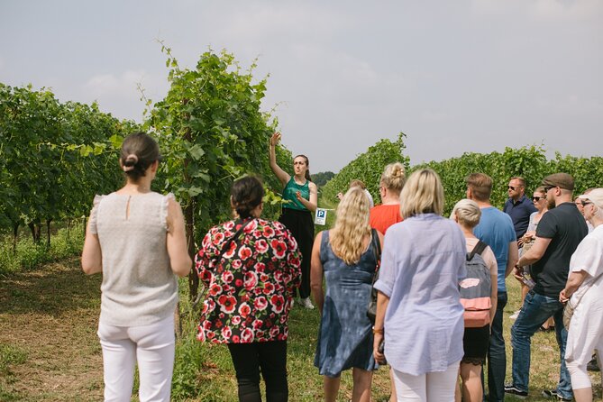 Valeggio: Sorsi dEstate, 3 young wines with guided tour - Starting at Corte Fornello in Fornello VR
