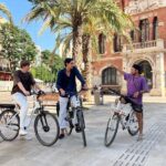 Valencia Bike Tour: Explore the City with a Local Guide - Starting at the Heart of Valencia’s Old Town