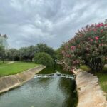 Valencia Bike Tour: Top Sights and City of Arts & Sciences - The Historic Pont del Mar: A 15th-Century Bridge