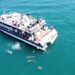 Valencia: Catamaran Cruise with Stop for Swimming - The Departure Point and Check-in Process