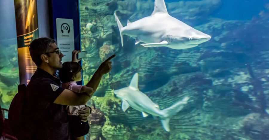 Valencia: Oceanogràfic Entry Ticket - Inside the Largest Aquarium in Europe