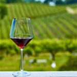 Valencian Tuscany by bike: guided bike tour and wine tasting - Visiting a Traditional Winery for Wine Tasting