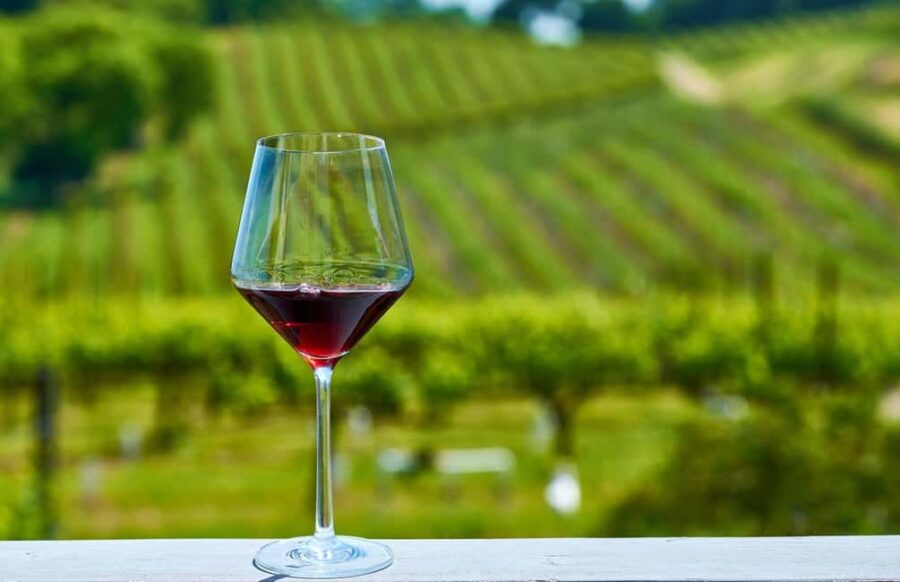 Valencian Tuscany by bike: guided bike tour and wine tasting - Visiting a Traditional Winery for Wine Tasting