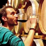 Valle de Guadalupe Premium Wine & Vineyard Wagon Tour - Starting Point at El Cielo Resort in Valle de Guadalupe