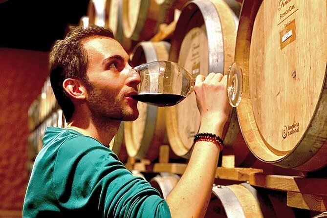 Valle de Guadalupe Premium Wine & Vineyard Wagon Tour - Starting Point at El Cielo Resort in Valle de Guadalupe