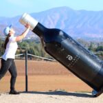 Valle de Guadalupe Wine Experience: Wine Tastings Included - Decantos Vinicola: Gravity-Flow Innovation and Panoramic Views