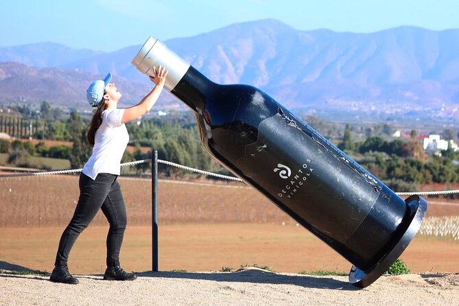 Valle de Guadalupe Wine Experience: Wine Tastings Included - Decantos Vinicola: Gravity-Flow Innovation and Panoramic Views