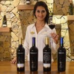 Valle de Guadalupe: Wine Tasting and Wagon Tour - The Scenic Motor Wagon Ride Through Vineyards