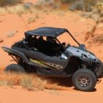 Valley of Fire 2-Person UTV Tour Las Vegas Most Scenic ATV Tour - The Significance of the Petroglyphs and Ancient Trees