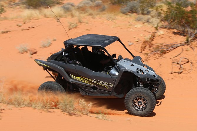 Valley of Fire 2-Person UTV Tour Las Vegas Most Scenic ATV Tour - The Significance of the Petroglyphs and Ancient Trees