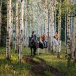 Valley Vista 1.5 Hour Horseback Trail Ride in Kananaskis - The Scenic Starting Point at Boundary Ranch