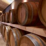 Valpolicella: Amarone Experience with Cantina Visit - Visiting the Historic Family-Owned Winery