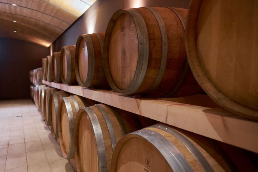 Valpolicella: Amarone Experience with Cantina Visit - Visiting the Historic Family-Owned Winery