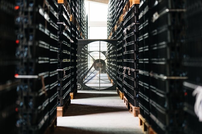 Valpolicella Lunch or Dinner Wine & Food tasting with Amarone - Savoring the Wine Tasting Experience