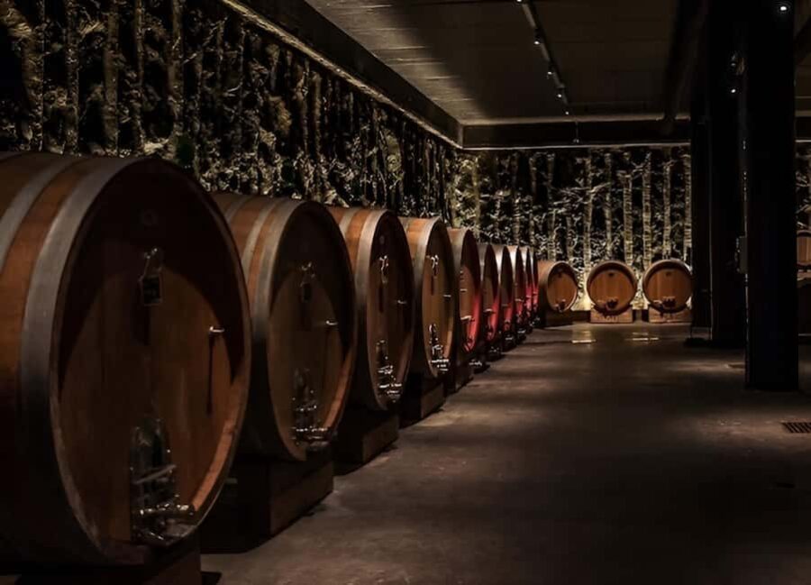 Valpolicella: Winery Tour with Picnic and Wine Tasting - Picnic with Local Cured Meats and Cheeses