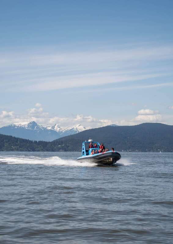 Vancouver: Boat to Bowen Island on UNESCO Howe Sound Fjord - Close Encounters with Seal Colonies and Local Wildlife