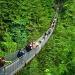 Vancouver: Capilano Bridge, Grouse Mountain & Aquabus Tour - Ascending Grouse Mountain via Skyride Gondola