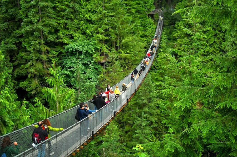 Vancouver: Capilano Bridge, Grouse Mountain & Aquabus Tour - Ascending Grouse Mountain via Skyride Gondola