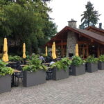 Vancouver: City and Mountain Adventure with Grouse Mountain - Starting from Vancouver’s Downtown and City Highlights