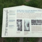 Vancouver City Finest Private Afternoon Tour - A Short Drive Through Vancouver’s Neighborhoods