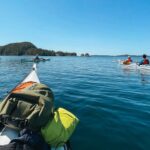 Vancouver Island: 2-Hour Guided Kayak Tour from Telegraph Cove - What to Expect During the 2-Hour Kayak Expedition