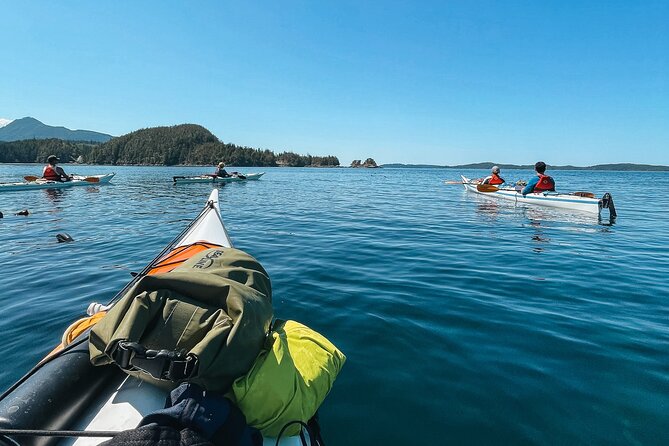 Vancouver Island: 2-Hour Guided Kayak Tour from Telegraph Cove - What to Expect During the 2-Hour Kayak Expedition