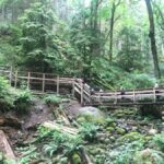 Vancouver: Lynn Canyon Park Hike & Pitt Meadows Bike Tour - Discover Lynn Canyon Park’s Iconic Suspension Bridge