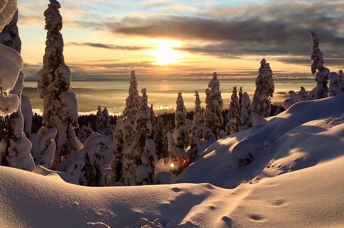 Vancouver Panoramic View Hike - Discover the Snowy Beauty of North Shore Forests
