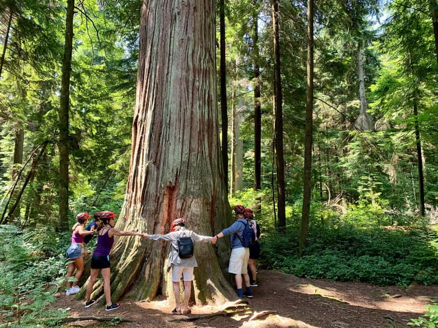 Vancouver: Stanley Park Bike Tour | E-Bike Upgrade Avail. - Starting Point at Spokes Bicycle Rentals