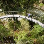 Vancouver Tour: Stanley Park, Granville Island & Capilano Bridge - Starting Point and How to Join the Tour