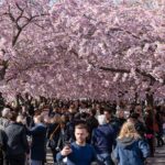 Vasa Museum Guided Tour, Including Entry Ticket - Navigating the Tour: From Meeting to Final Stop