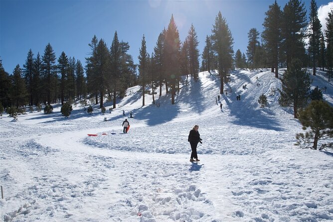 Vegas Winter Adventure: Mt. Charleston Snow Day - Meeting Point and Logistics for a Smooth Start