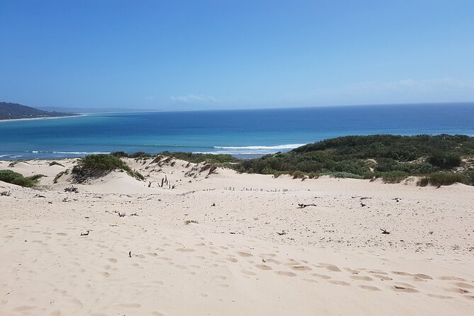 Vejer and Bologna Beach Rate Excursion from Cadiz - Exploring Baelo Claudia’s Roman Heritage