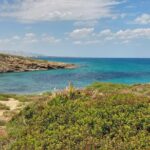 Vendicari Nature Reserve Tour - Exploring Vendicari’s Coastal Marshes and Birdwatching Points