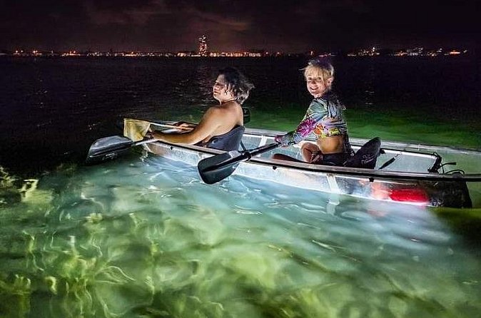 Venice Clear Kayak Glass Bottom LED Night Tour - The LED Lighting: Transforming the Night Sea Experience