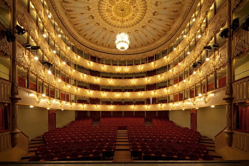 Venice Guided Visit Goldoni Theater - The Historic Roots of the Goldoni Theater in Venice