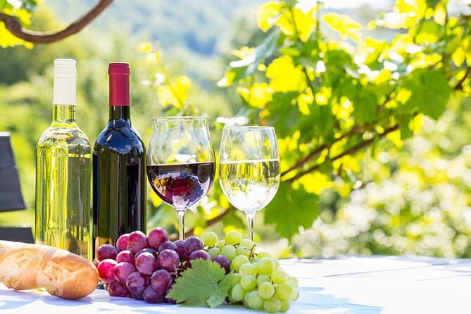 Verde Valley Private Wine Tasting Tour - Scenic Drive Through the Sonoran Desert to Verde Valley