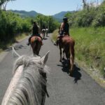 Vergato: Horseback Ride through the Emilian Hills - Final Thoughts on the Vergato Horseback Tour
