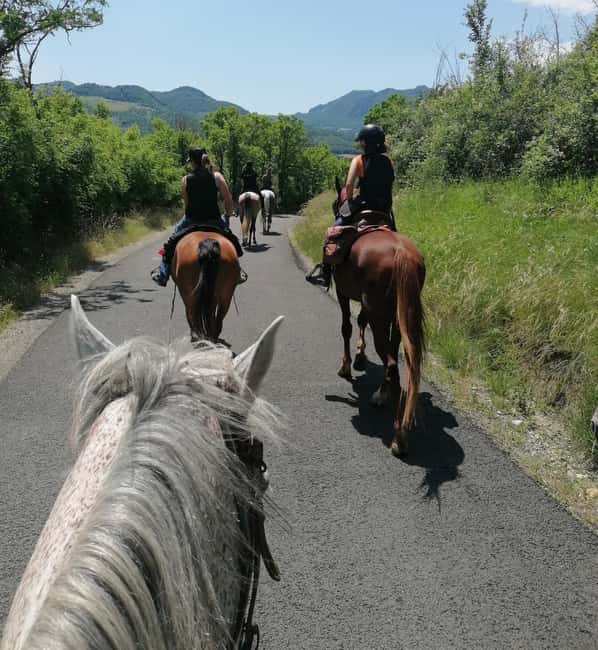 Vergato: Horseback Ride through the Emilian Hills - Final Thoughts on the Vergato Horseback Tour
