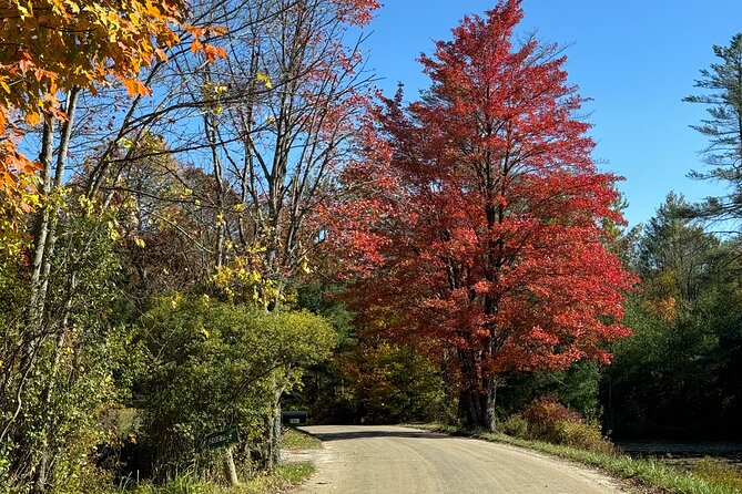 Vermont Wayfinders Fall Foliage Private Tour - Hidden Views and Charming Vermont Towns